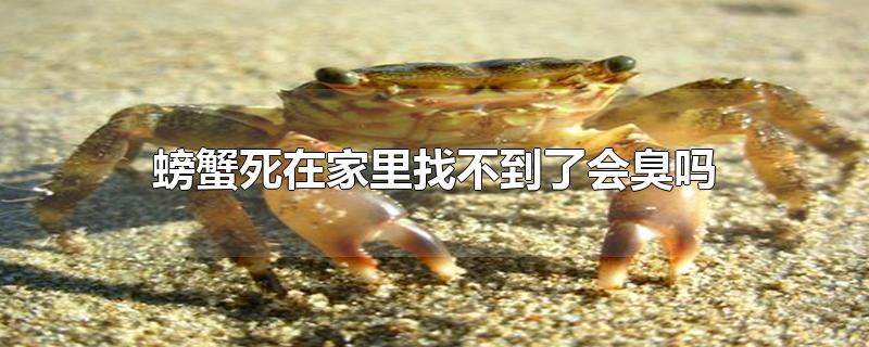 螃蟹死在家里找不到了会臭吗