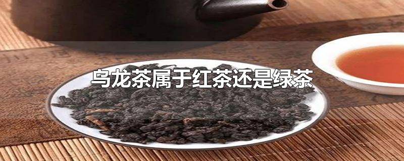 乌龙茶属于红茶还是绿茶