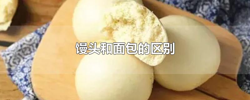 馒头和面包的区别