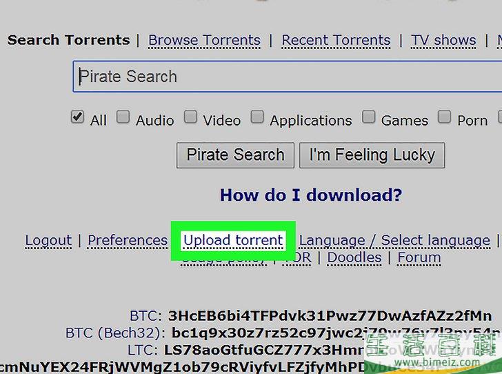 如何下载BT种子文件