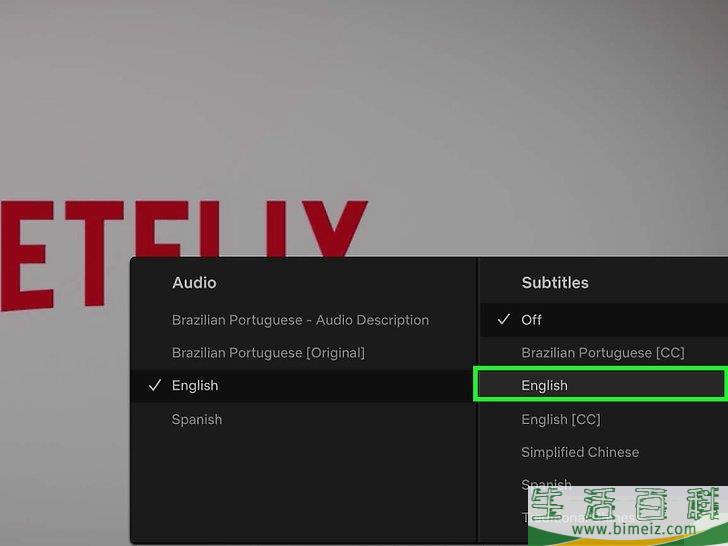 如何在Netflix上获取字幕