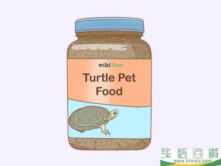 如何怎样照顾乌龟