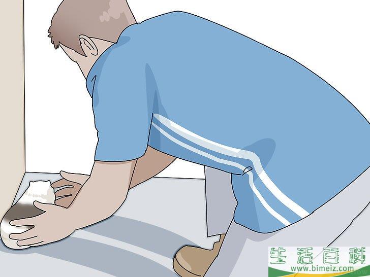 如何让荷兰猪开心