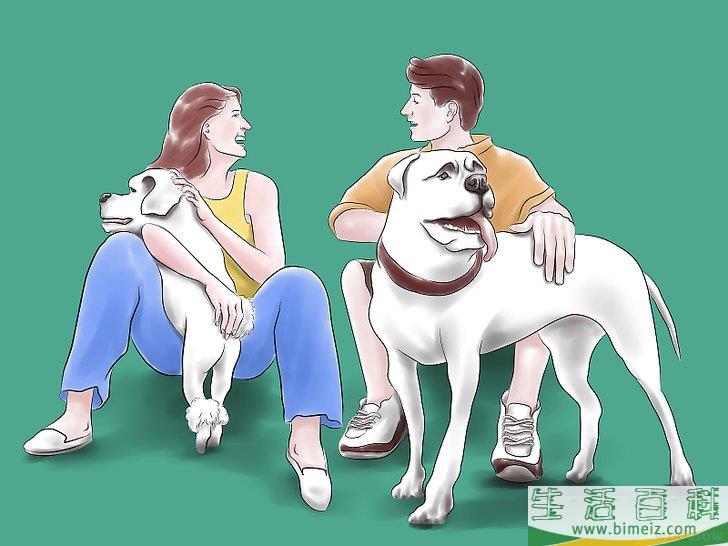 如何训练斗牛犬