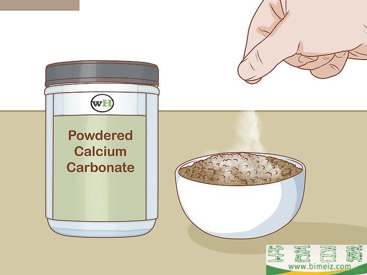 如何怎样照顾乌龟