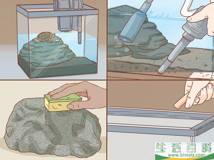 如何怎样照顾乌龟