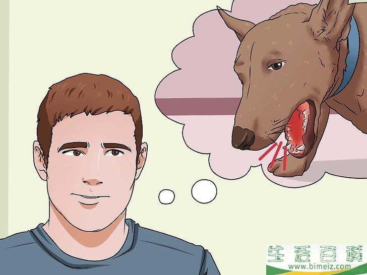 如何治疗犬窝咳