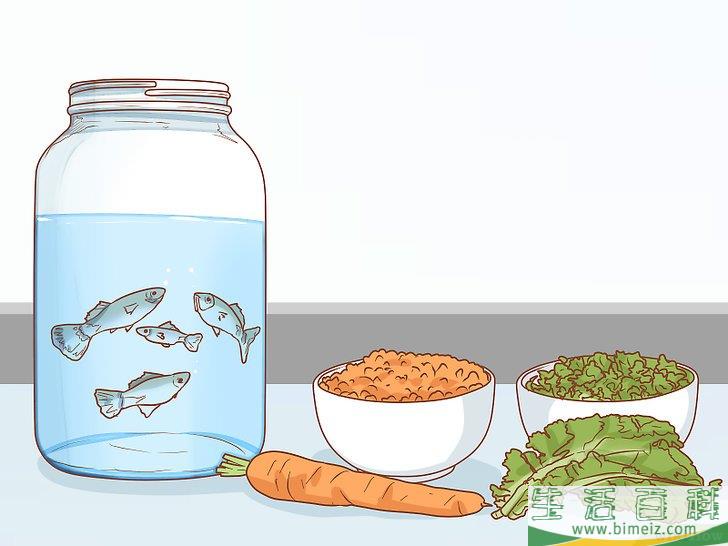如何怎样照顾乌龟