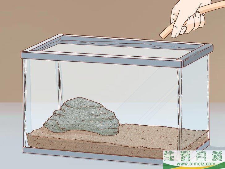 如何怎样照顾乌龟
