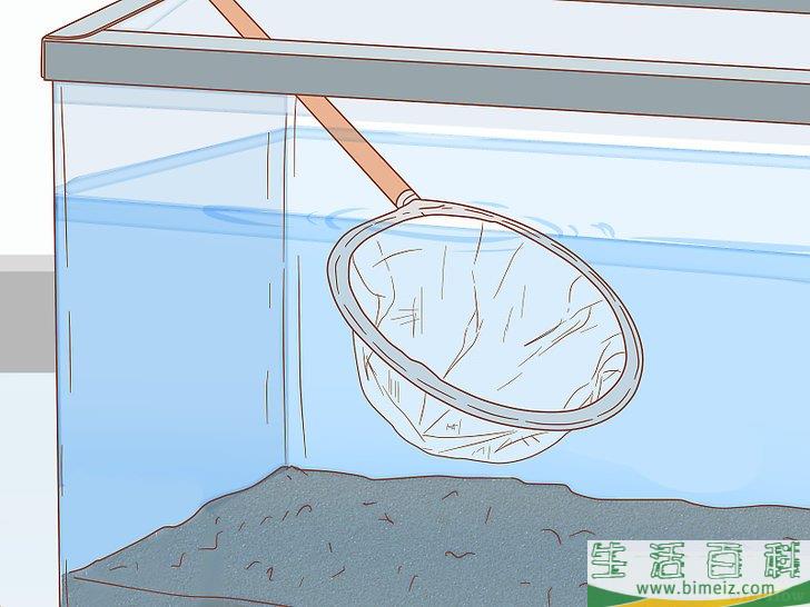 如何怎样照顾乌龟