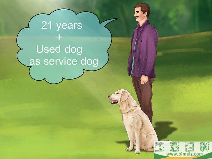 如何领养一只服务犬