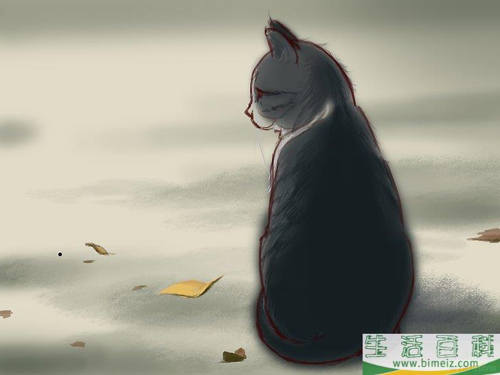 如何处理猫抓伤