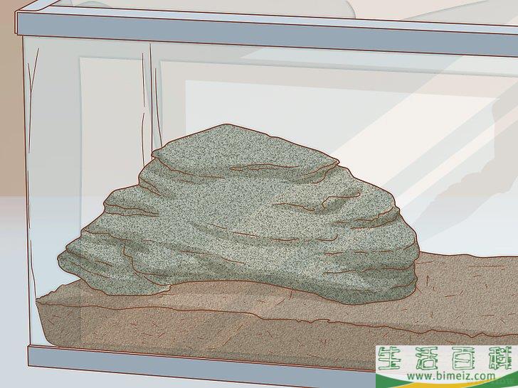 如何怎样照顾乌龟