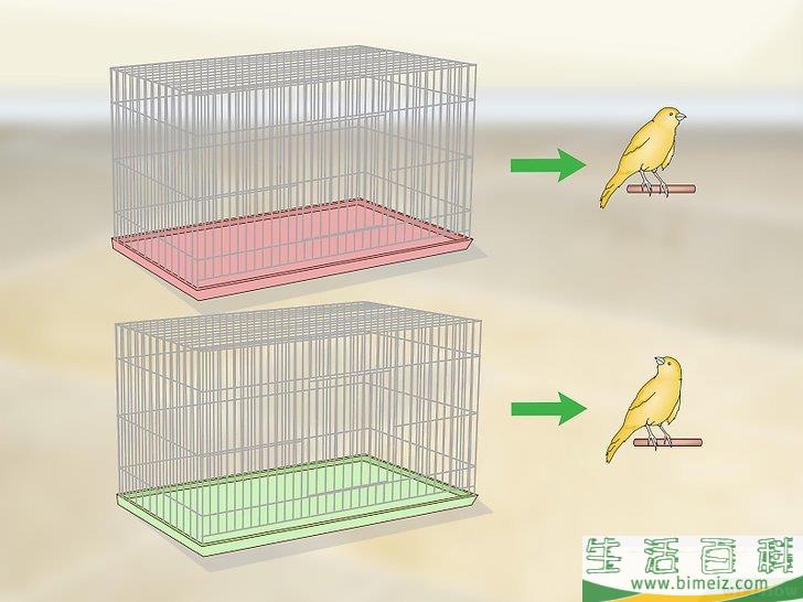 如何为金丝雀安家