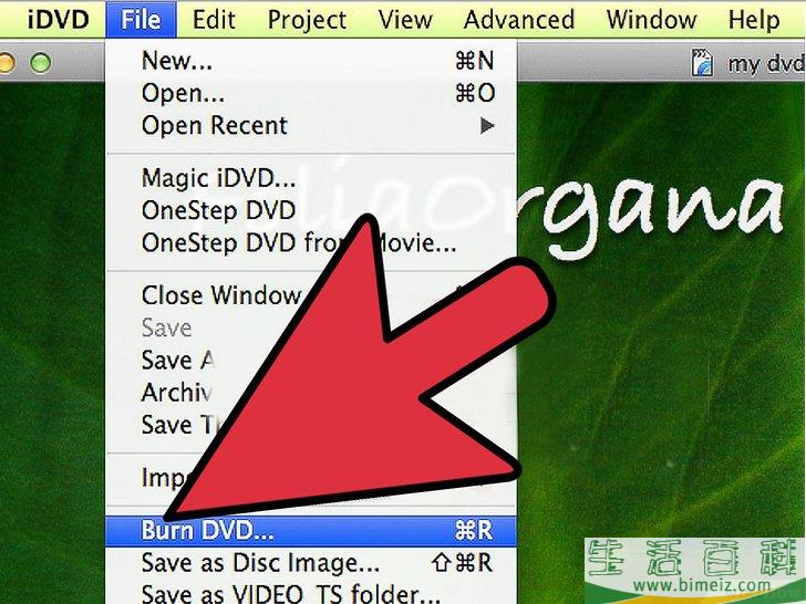 怎么在 Mac OS X 系统上制作DVD拷贝