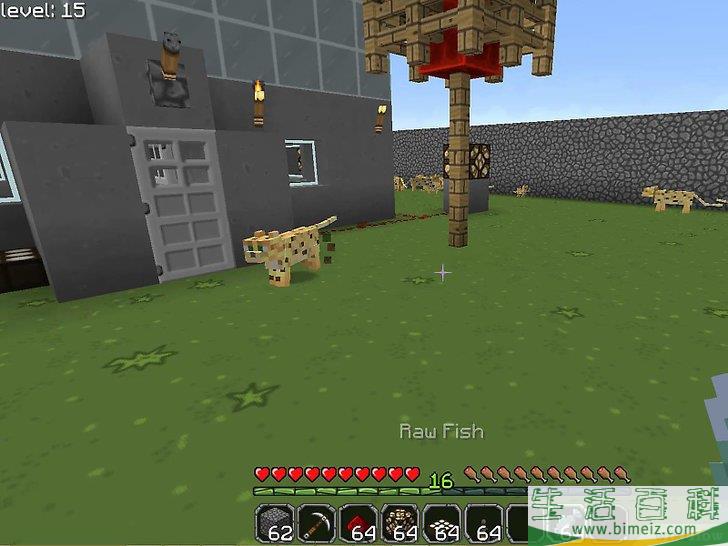 怎么在Minecraft中驯服豹猫