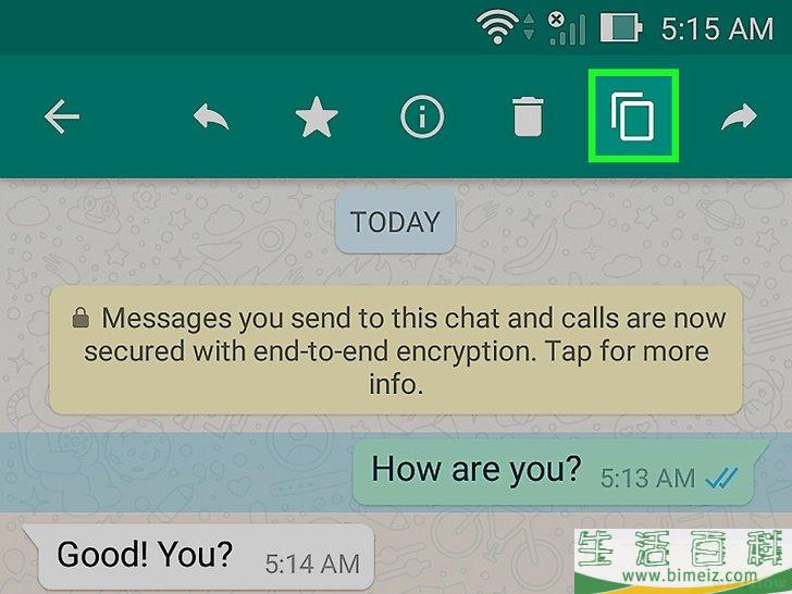 怎么在WhatsApp上复制粘贴