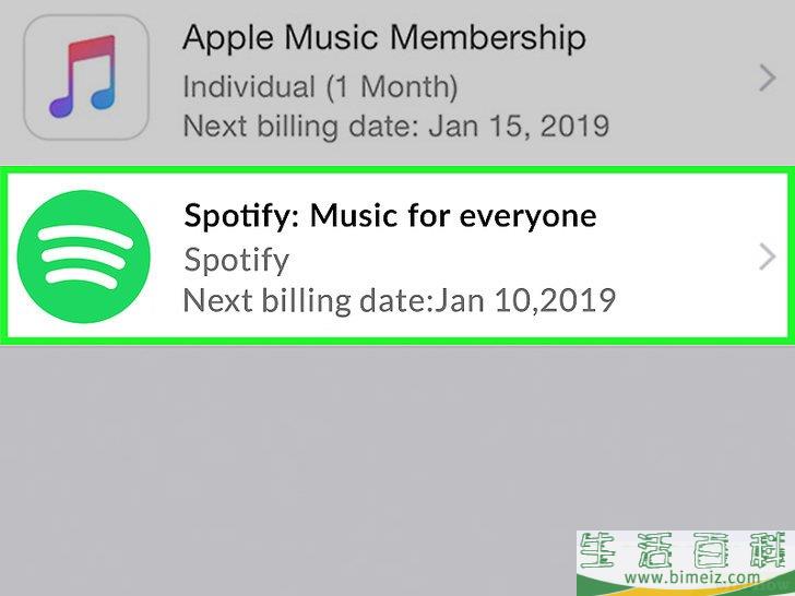 怎么在iPhone上取消Spotify