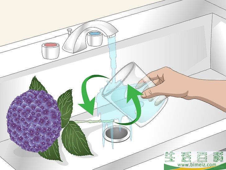 怎么让绣球花维持旺盛的生命力