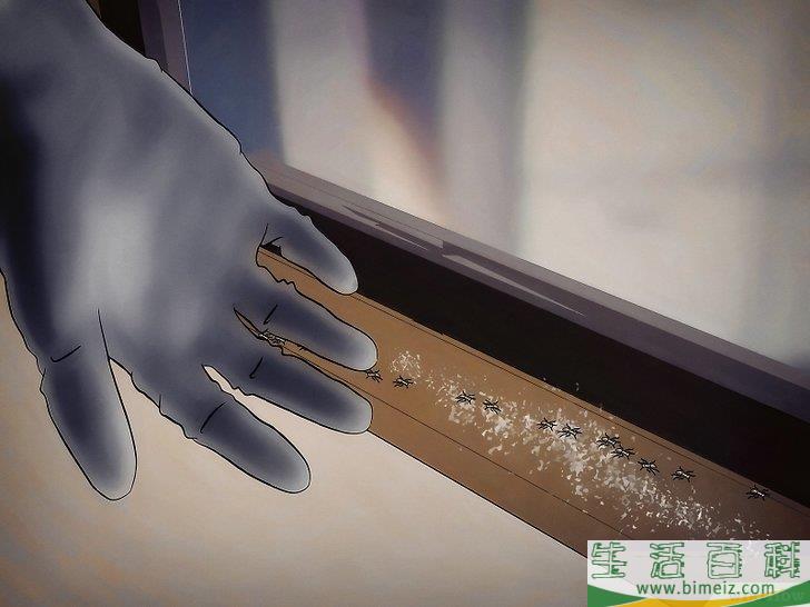 怎么用硼砂杀死蚂蚁