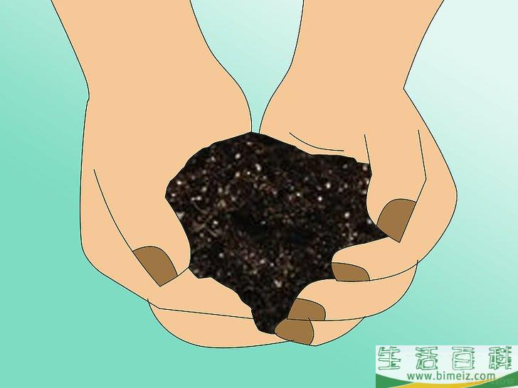 怎么栽种大豆