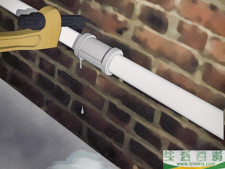 怎么去除书虱