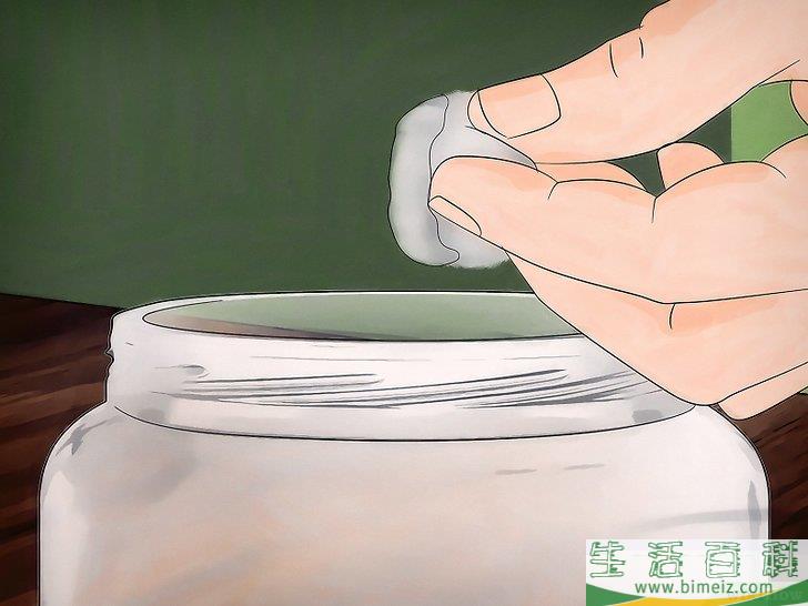 怎么用硼砂杀死蚂蚁