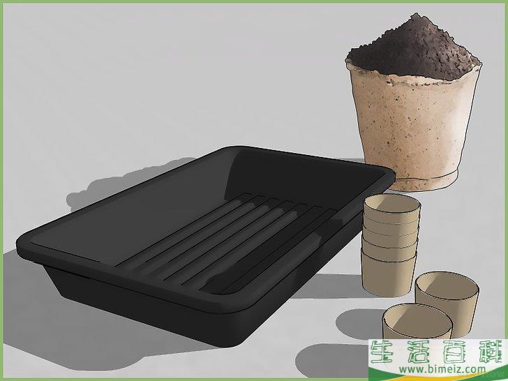 怎么播种