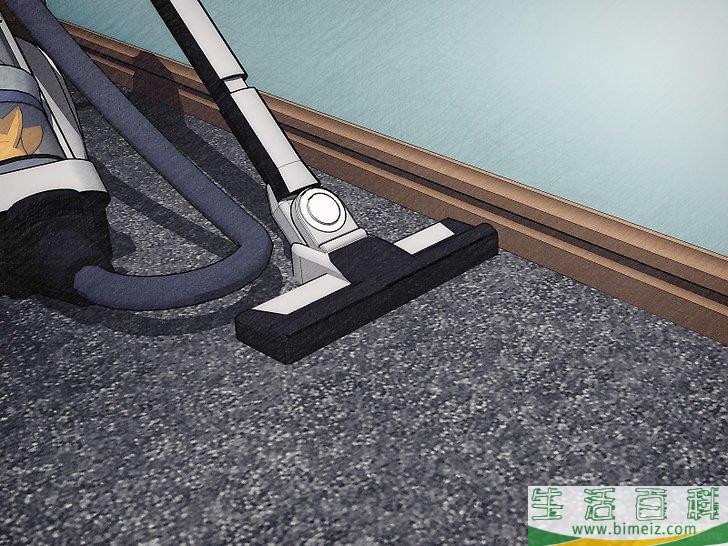 怎么去除书虱