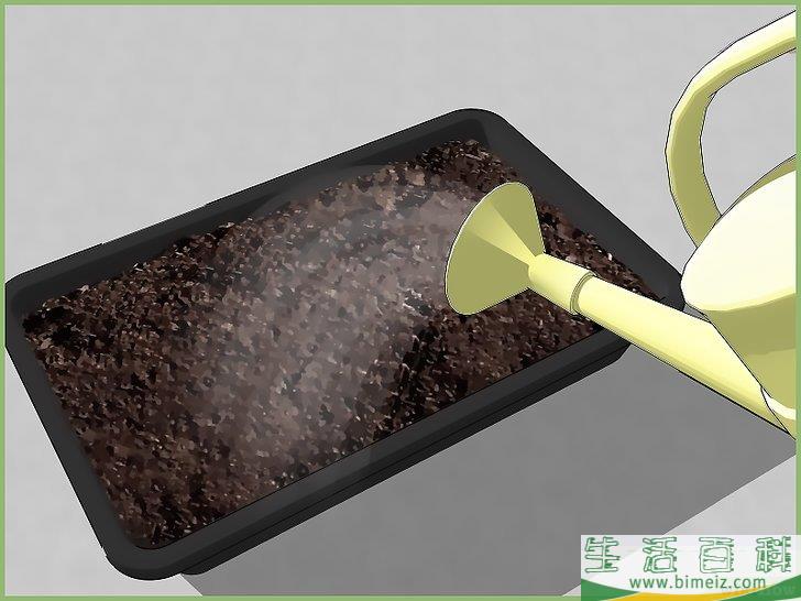 怎么播种