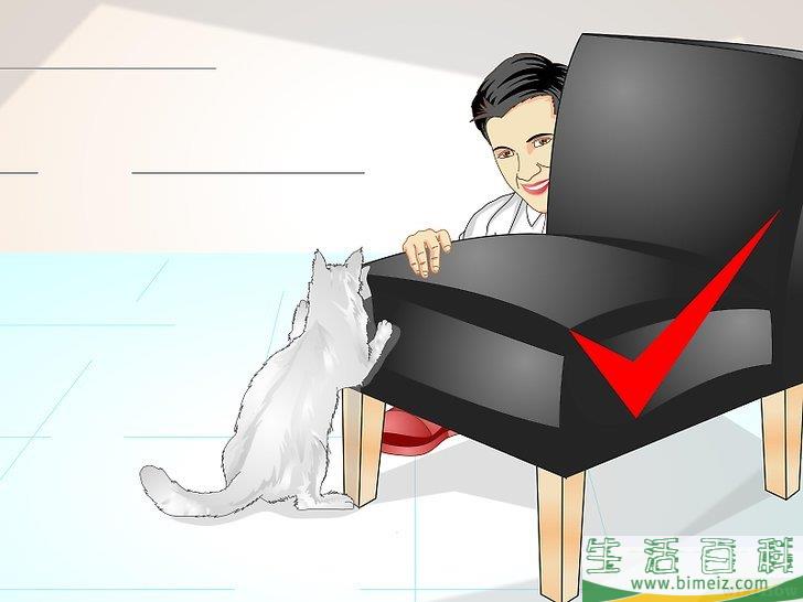 怎么宠爱猫咪