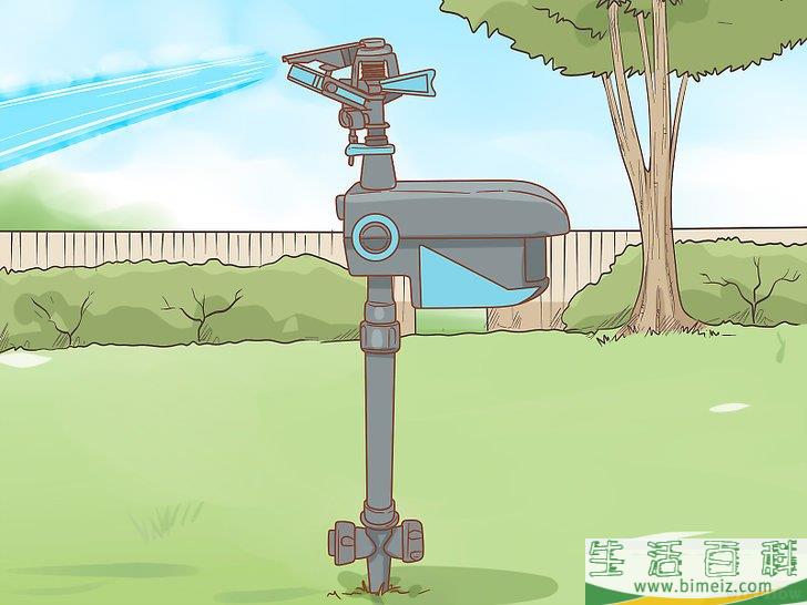 怎么避免野猫肆虐