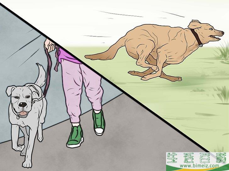 怎么惩罚狗狗