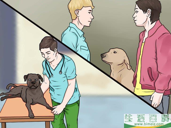 怎么惩罚狗狗