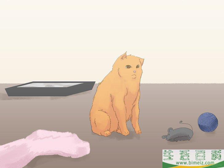 怎么防止猫咪在地毯上撒尿