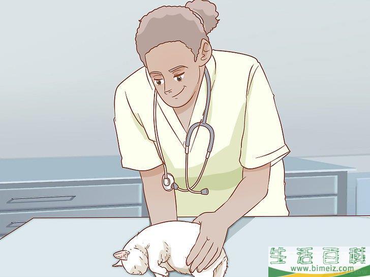 怎么避免野猫肆虐