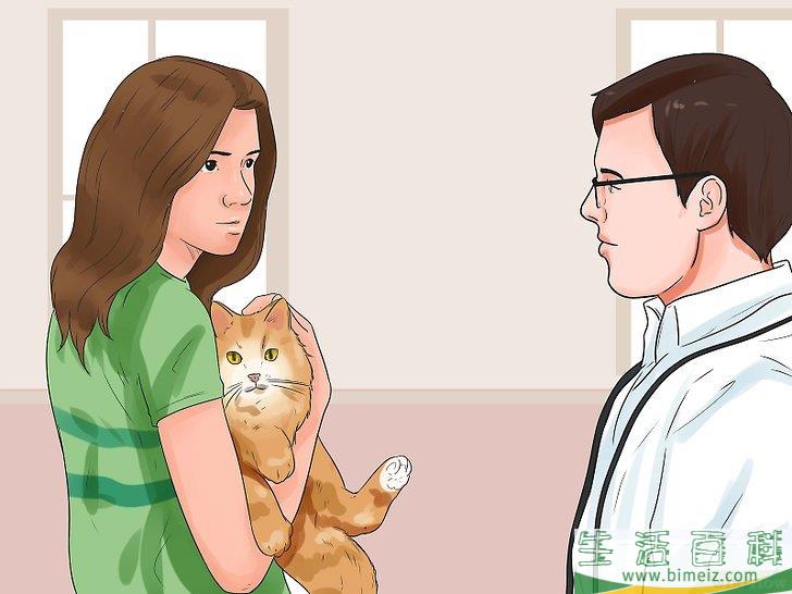 怎么让猫咪不再发出嘶嘶声