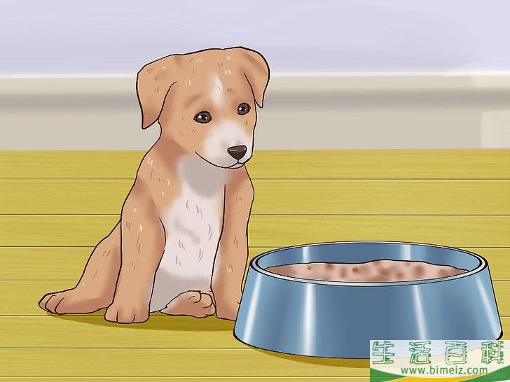 怎么给幼犬断奶