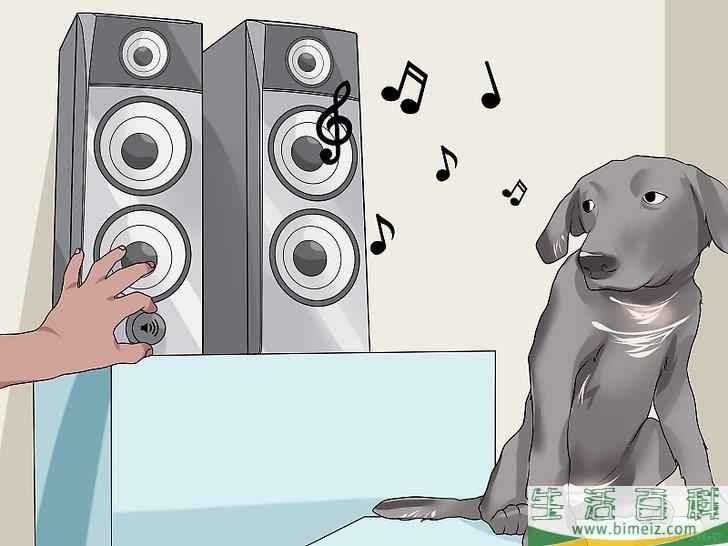 怎么安抚爱犬