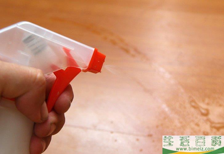怎么去除木地板上的猫尿