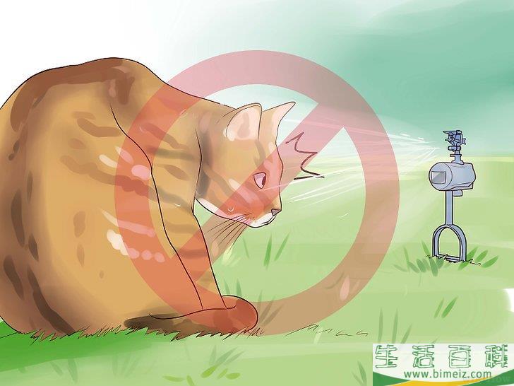 怎么让狗不再追赶猫咪