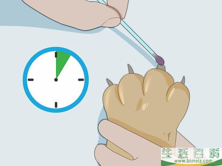 怎么给狗狗的趾甲床止血