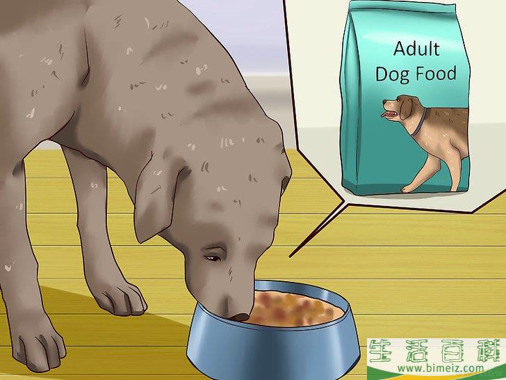 怎么给幼犬断奶