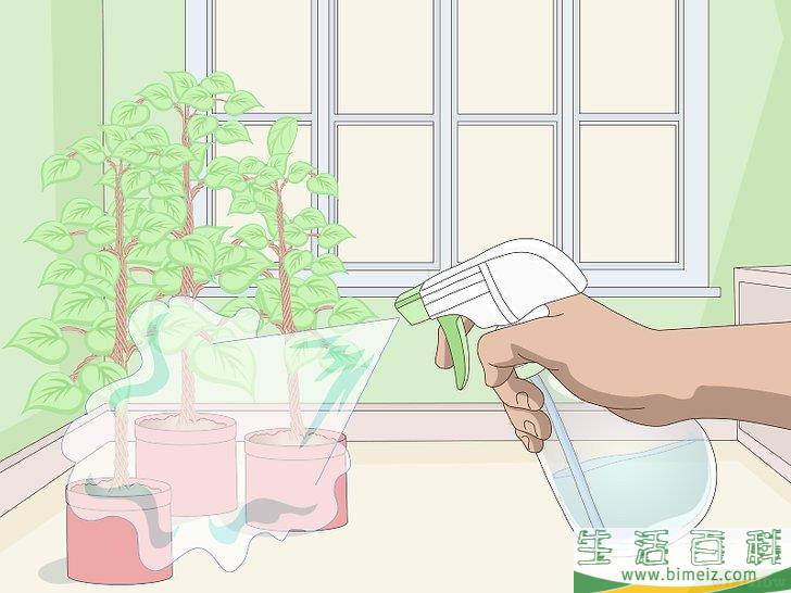 怎么自制驱猫剂