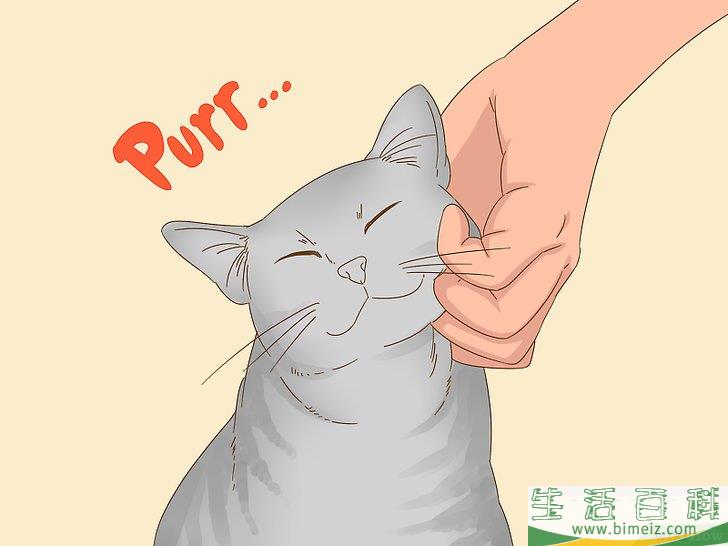 怎么和猫咪交流