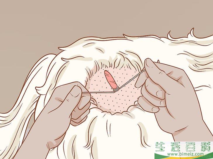 怎么在家里去除狗身上的皮赘