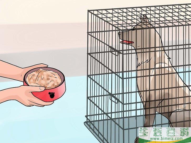 怎么训练狗狗在屋外上厕所