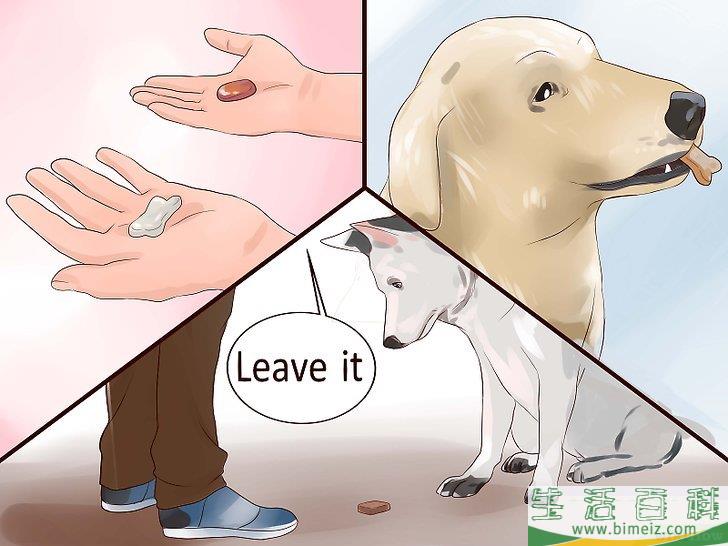 怎么让狗不再追赶猫咪
