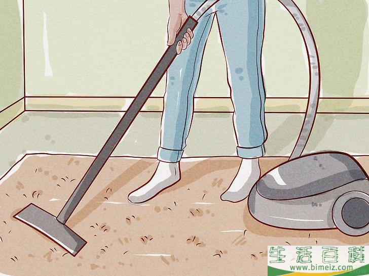 怎么判断狗是否感染了跳蚤