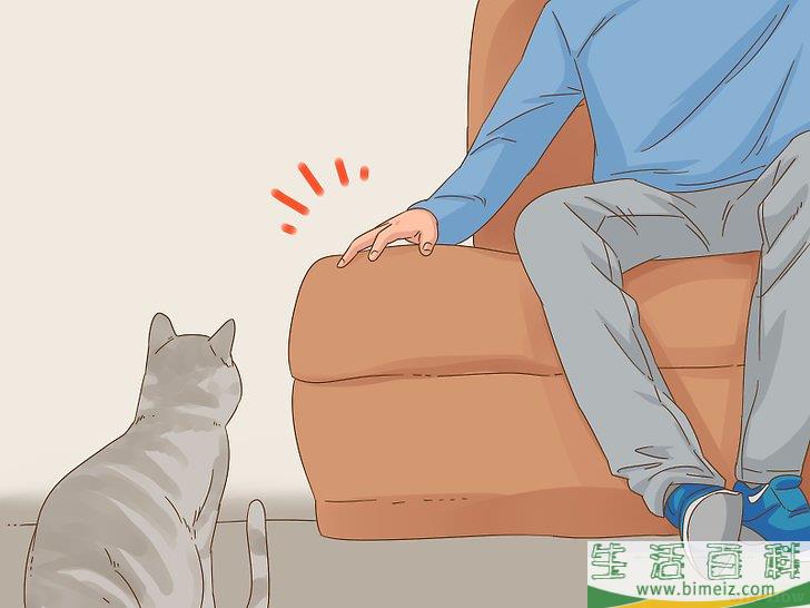 怎么和猫咪交流